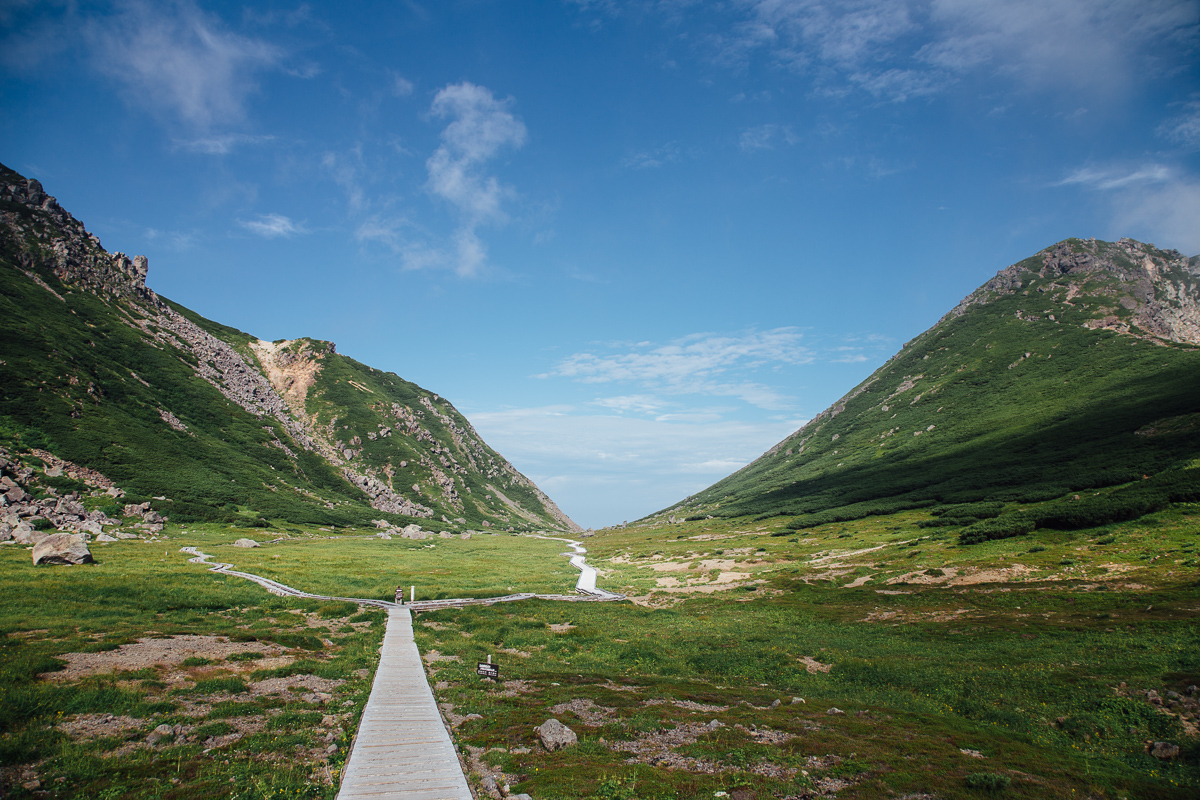 Mount Norikura Alpine Flower Field