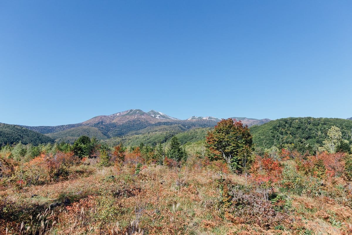 Fall Colors are Almost Here