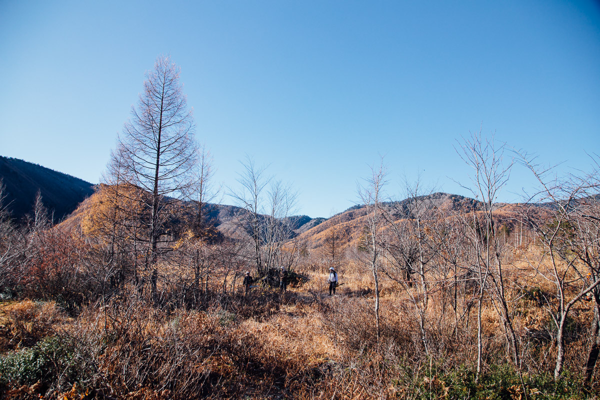 Woodcutters in Ichinose Meadow