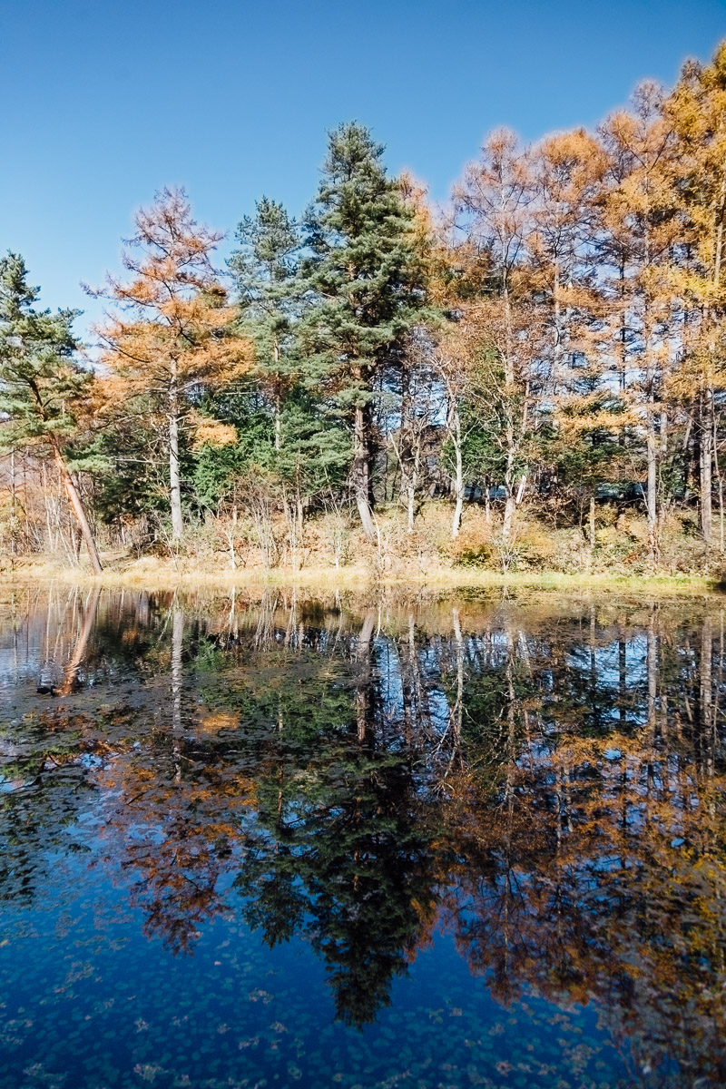 Enjoying the Fall Colors