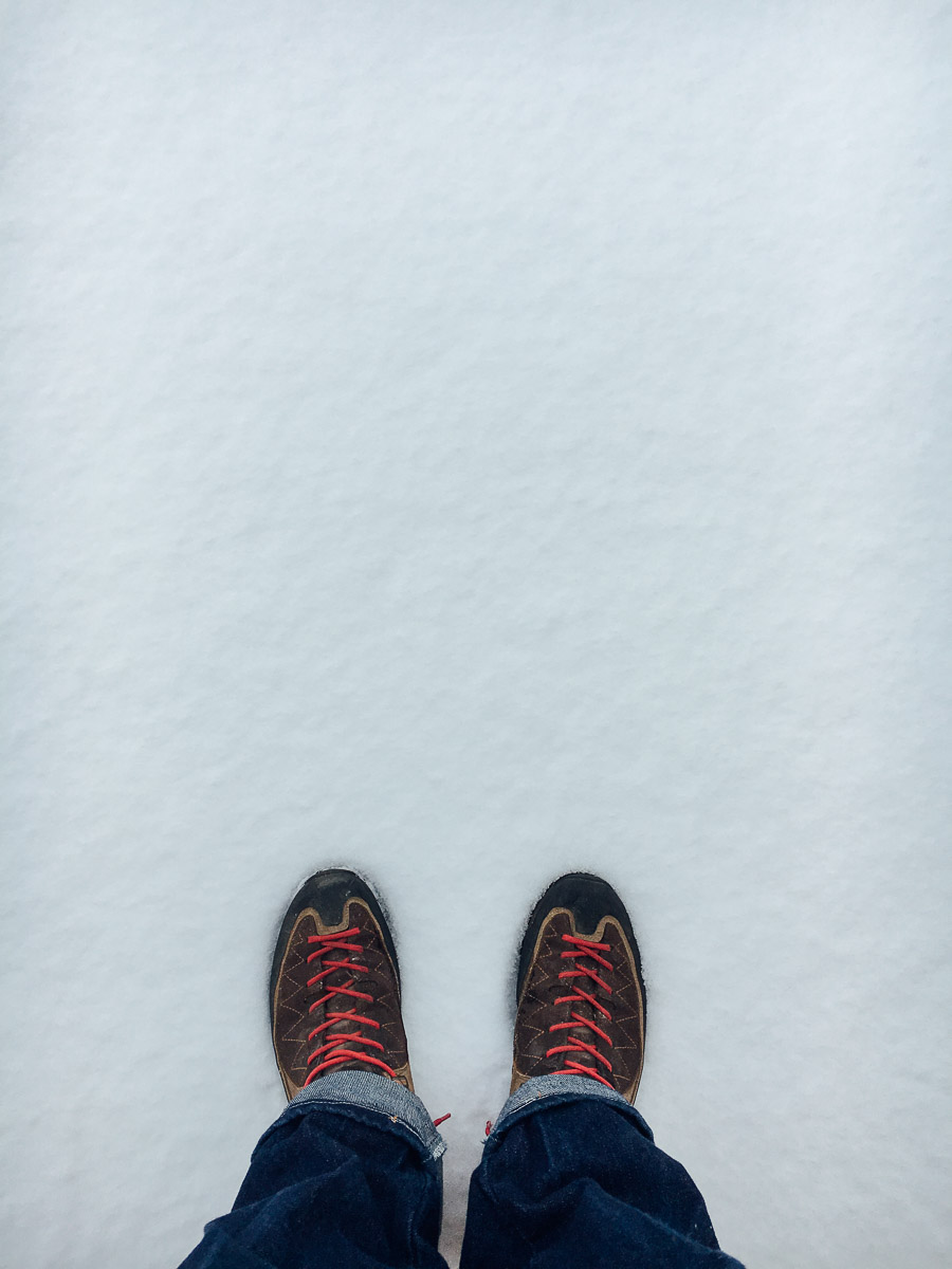 Fresh Snow in the Village