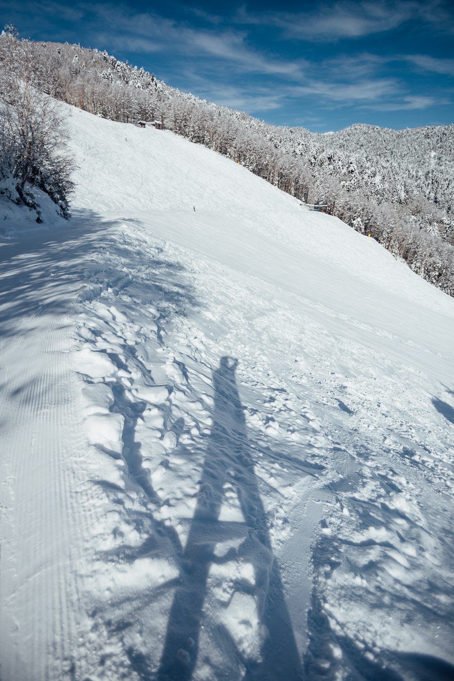 Morning on the hill