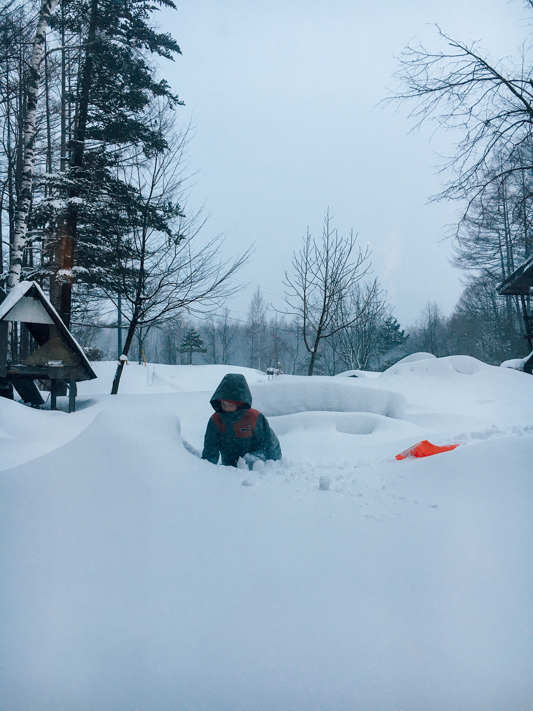 Powder day